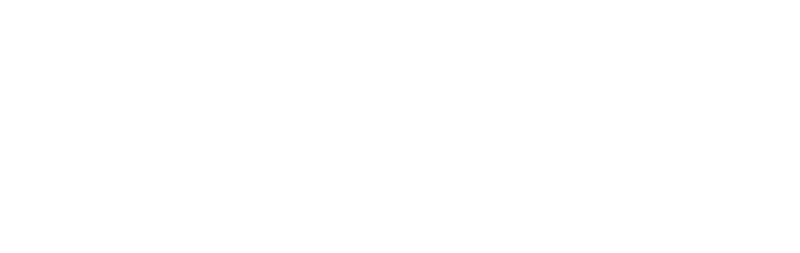 Summertime Music & Life Festival logo